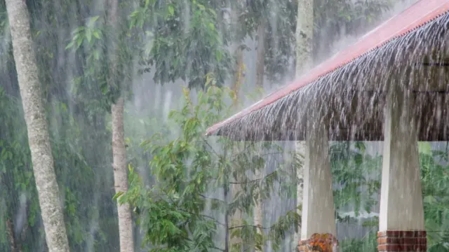 weather-update-heavy-rain-likely-in-andhra-telangana-till-july-19-red-alert-for-these-states-check-imd-forecast